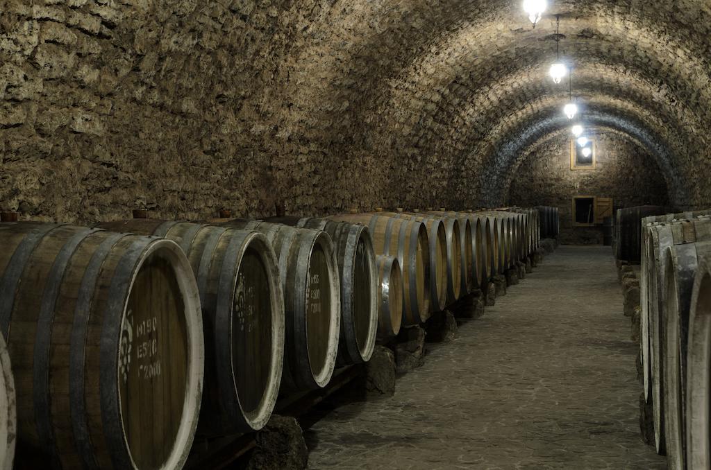 新卡霍夫卡 Prince Trubetskoi Winery酒店 外观 照片